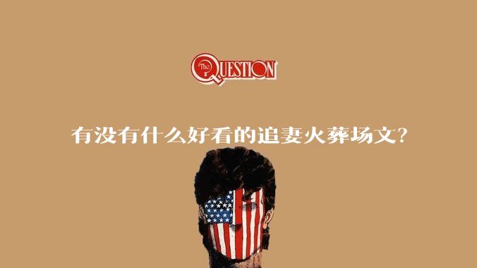 有没有什么好看的追妻火葬场文？