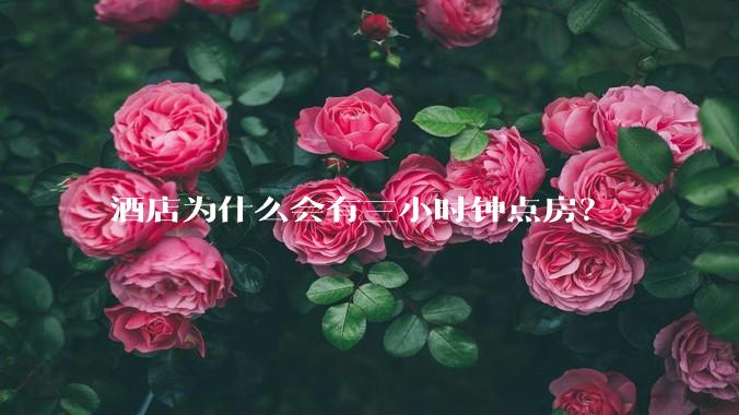 酒店为什么会有三小时钟点房？