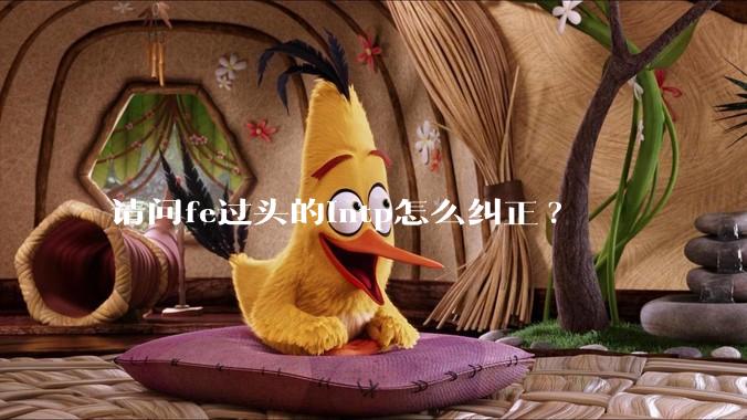 请问fe过头的intp怎么纠正?