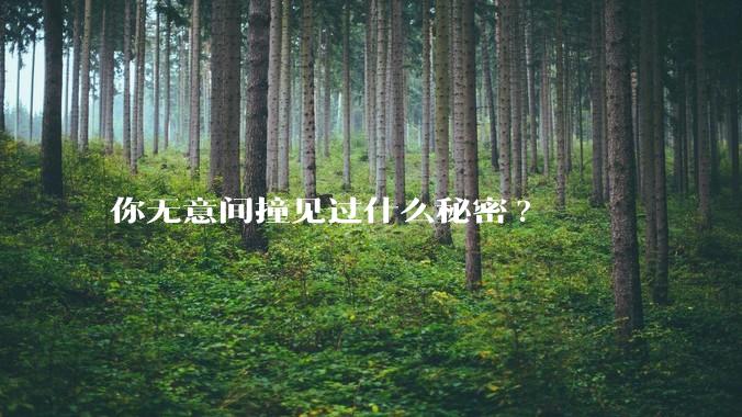 你无意间撞见过什么秘密?