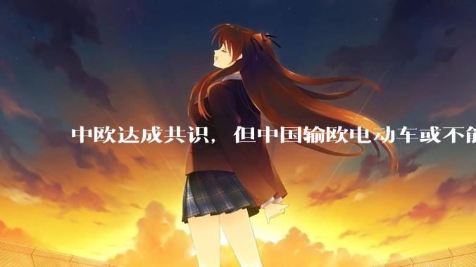 中欧达成共识，但中国输欧电动车或不能低于29万，29万的车在欧洲有竞争力吗？