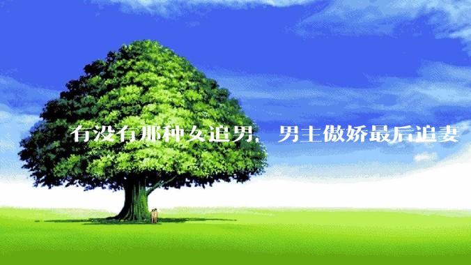 有没有那种女追男，男主傲娇最后追妻「火葬场」的言情***推荐？