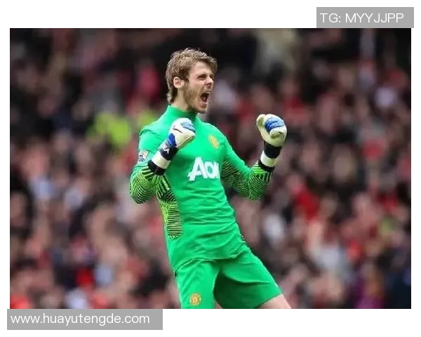 德赫亚职业生涯起伏与辉煌守门艺术全面解析