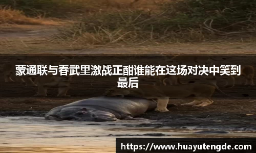 球盟会官网